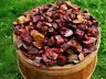 1000 Carat Lots Of Red Jasper Rough + A Free Faceted Gemstone